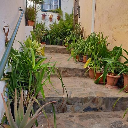 Casa Apartamento Los Llanos ロス・ジャノス・デ・アリダネ エクステリア 写真