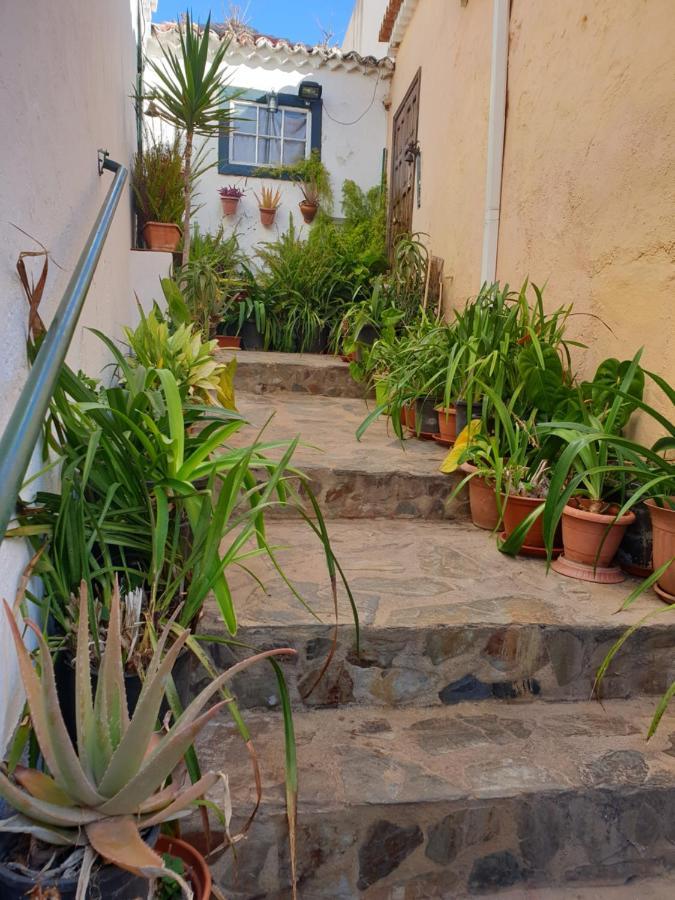 Casa Apartamento Los Llanos ロス・ジャノス・デ・アリダネ エクステリア 写真